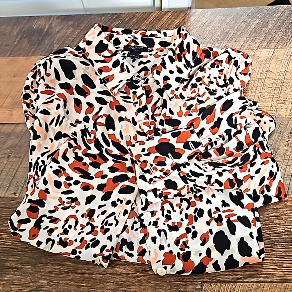 30. ANN TAYLOR- Rich Color Blouse